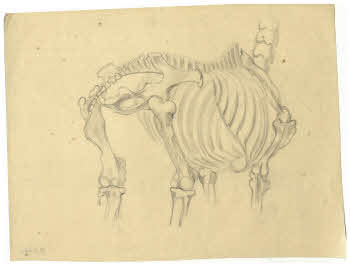 Visualizza l'immagine "FD D 126"